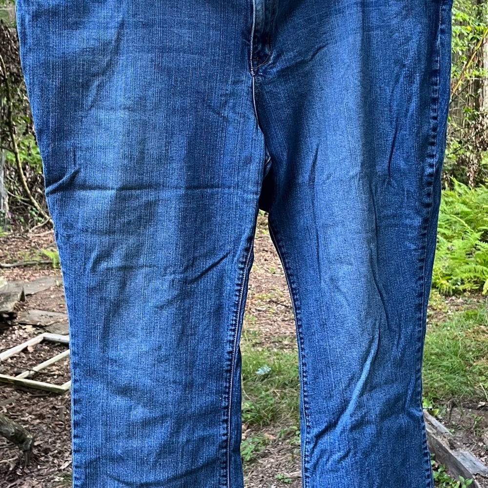 Zana Di Women's Blue Jeans